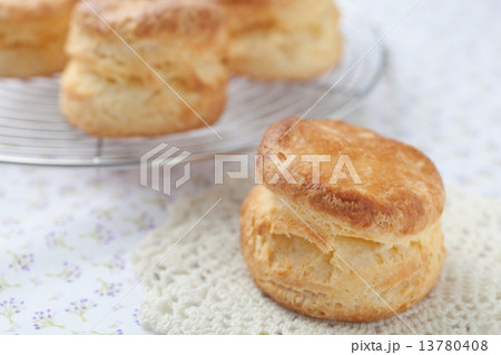 プレーンスコーン 13780408
