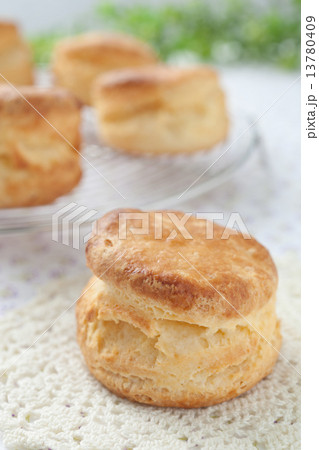 プレーンスコーン プレーンスコーン 13780409