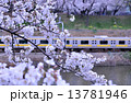 外堀通りから桜越しの電車 13781946
