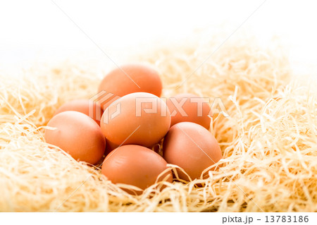 Eggs 13783186