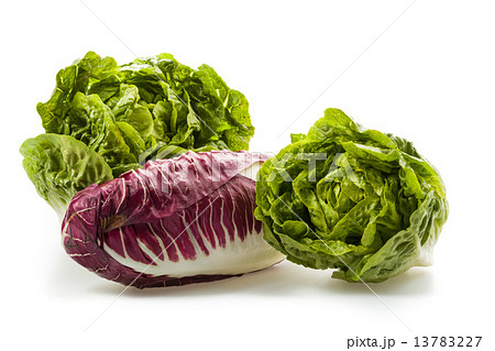 Fresh organic lettuce hearts Fresh organic lettuce hearts 13783227