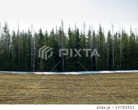 Image of meadow near the forest Image of meadow near the forest 13783933