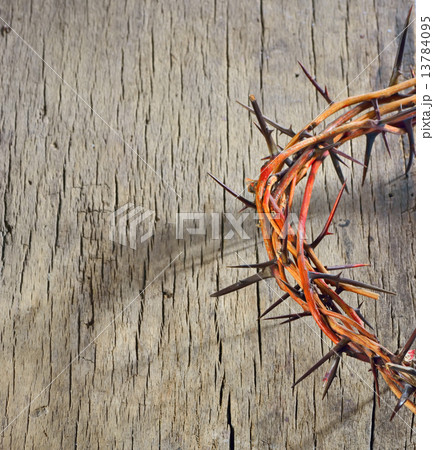 Crown of Thorns and drops of blood Crown of Thorns and drops of blood 13784095