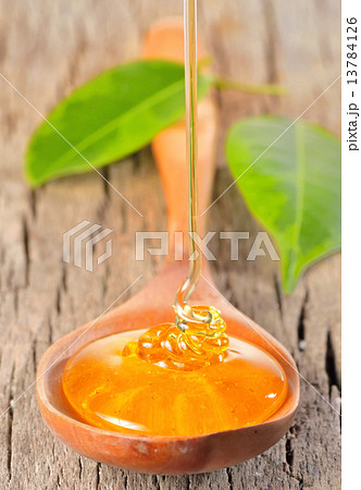 Honey dripping 13784126