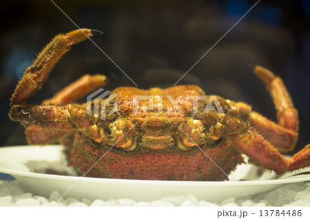 Crab on ice in restaurant 13784486