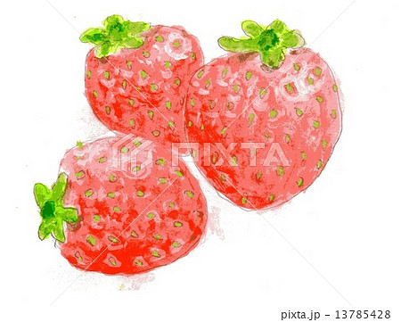 いちごのイラスト素材 [13785428] - PIXTA
