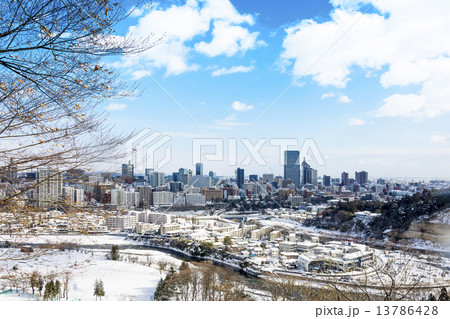 雪の日の仙台市全景 13786428