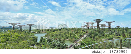 Gardens by the Bay, Singapore Gardens by the Bay, Singapore 13786995