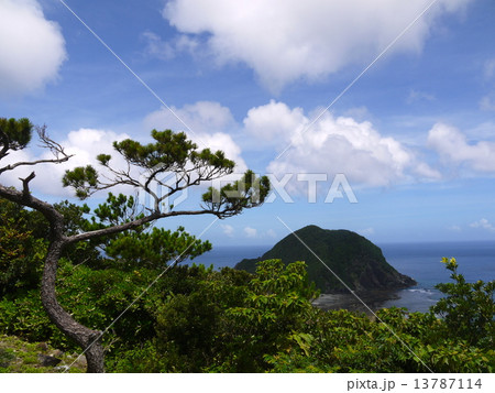 渡嘉敷島 渡嘉敷島 13787114