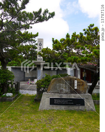 白玉の塔 13787116