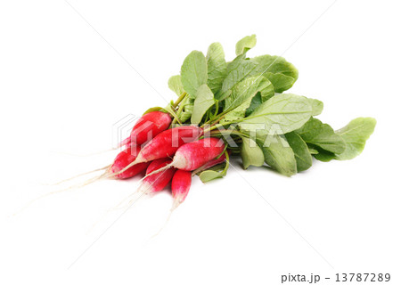 Garden radish isolated on white background Garden radish isolated on white background 13787289