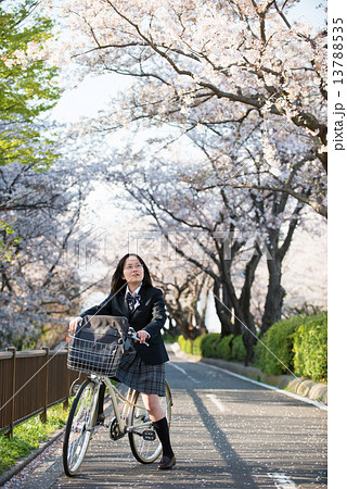 自転車の女子高生と桜の写真素材