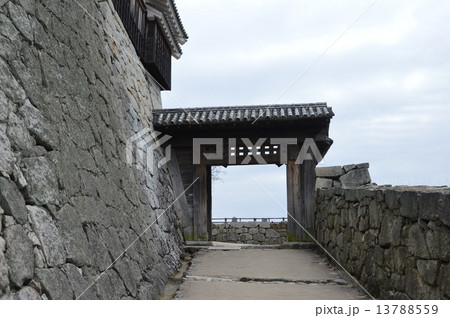 戸無門（伊予･松山城／愛媛県松山市） 13788559