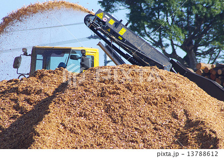 木質バイオマスチップの生産 13788612