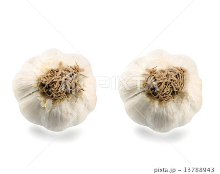 two garlic cloves 13788943
