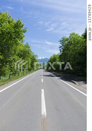 真っ直ぐな山道 真っ直ぐな山道 13789429