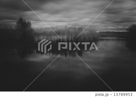 An image of a beautiful forest with fog in bavaria germany 13789953