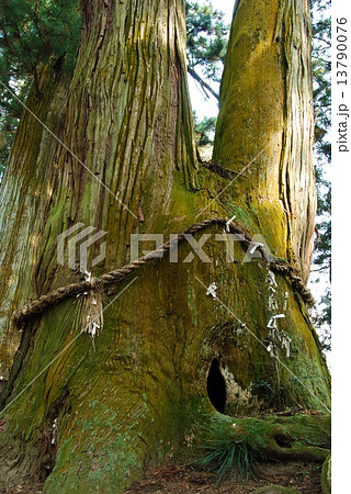 勝楽山　高蔵寺 13790076