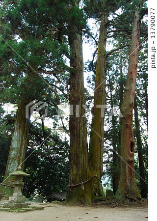 勝楽山　高蔵寺 13790077