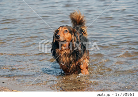 shallow river 13790961