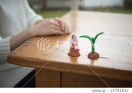 芽 芽 13791832