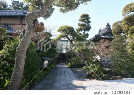木更津　證誠寺 13792103