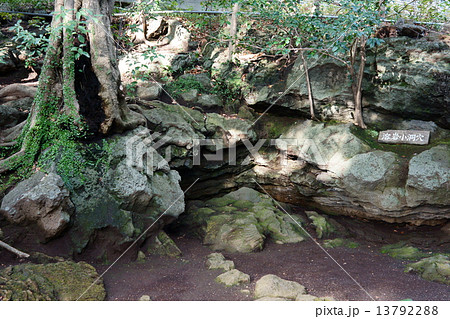 三島溶岩小洞穴 13792288