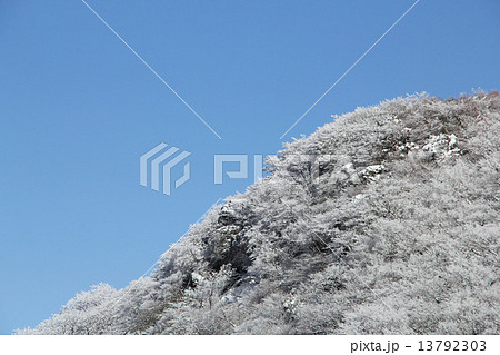 雪の華 13792303