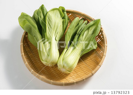 ちんげん菜 13792323