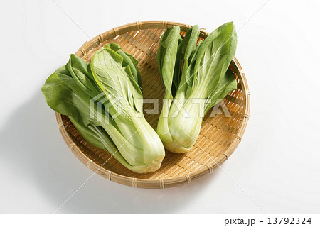ちんげん菜 13792324