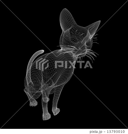 cat wire modelのイラスト素材 [13793010] - PIXTA