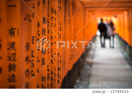 Red Torii of Fushimi Inari Shrine, Kyoto, Japan Red Torii of Fushimi Inari Shrine, Kyoto, Japan 13794023