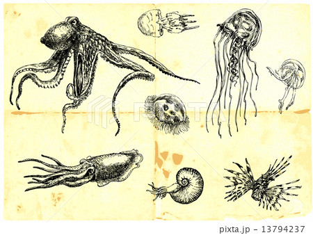 sea monsters sea monsters 13794237