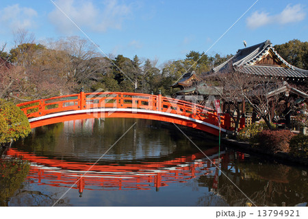 京都　神泉苑 13794921