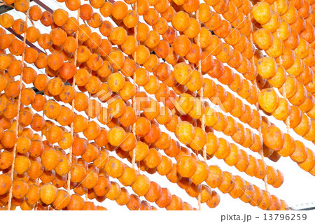 干し柿 干し柿 13796259