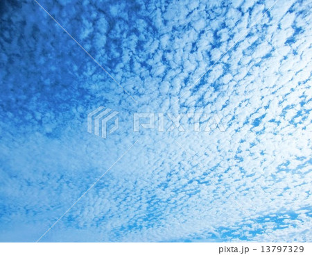 うろこ雲 うろこ雲 13797329