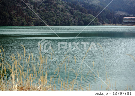 冬の湖畔 13797381