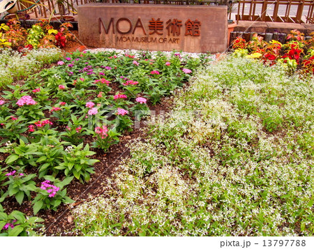 MOA美術館 13797788