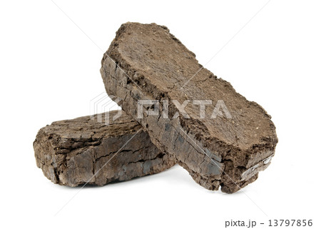 fuel blocks 13797856