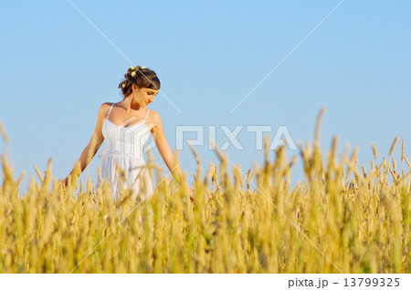 Woman on wheat field 13799325