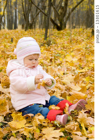 Small baby playing with yellow maple leafs 13801615