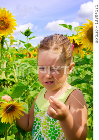 Girl on sunflowers field 13804121