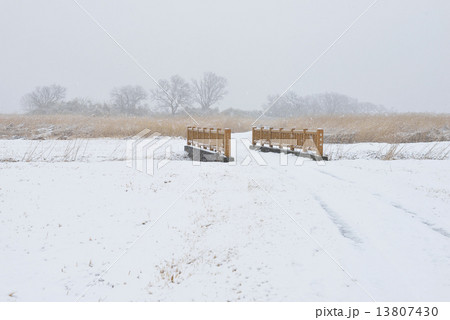 雪の谷中村跡地 13807430