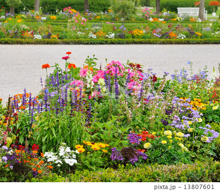 delightful flower bed in the summer park delightful flower bed in the summer park 13807601