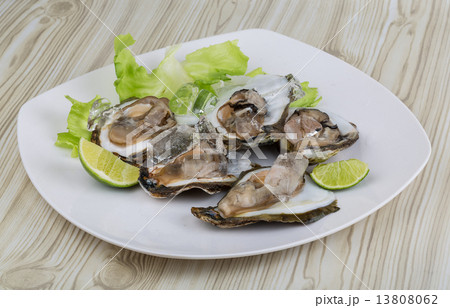 Fresh oyster Fresh oyster 13808062