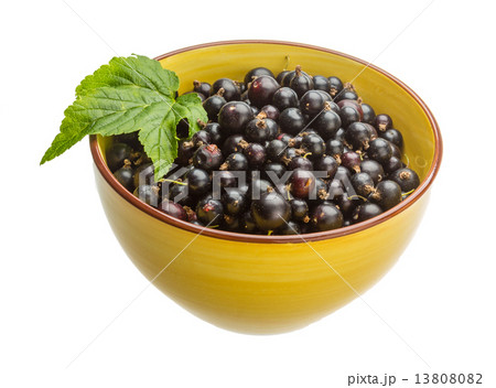 Black currant Black currant 13808082