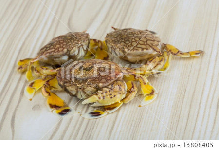 Raw crabs Raw crabs 13808405