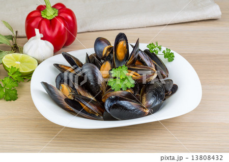 Mussels Mussels 13808432