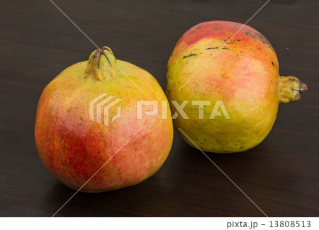 Yellow Pomegranet 13808513