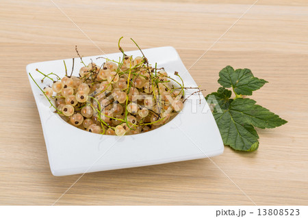 White currant 13808523